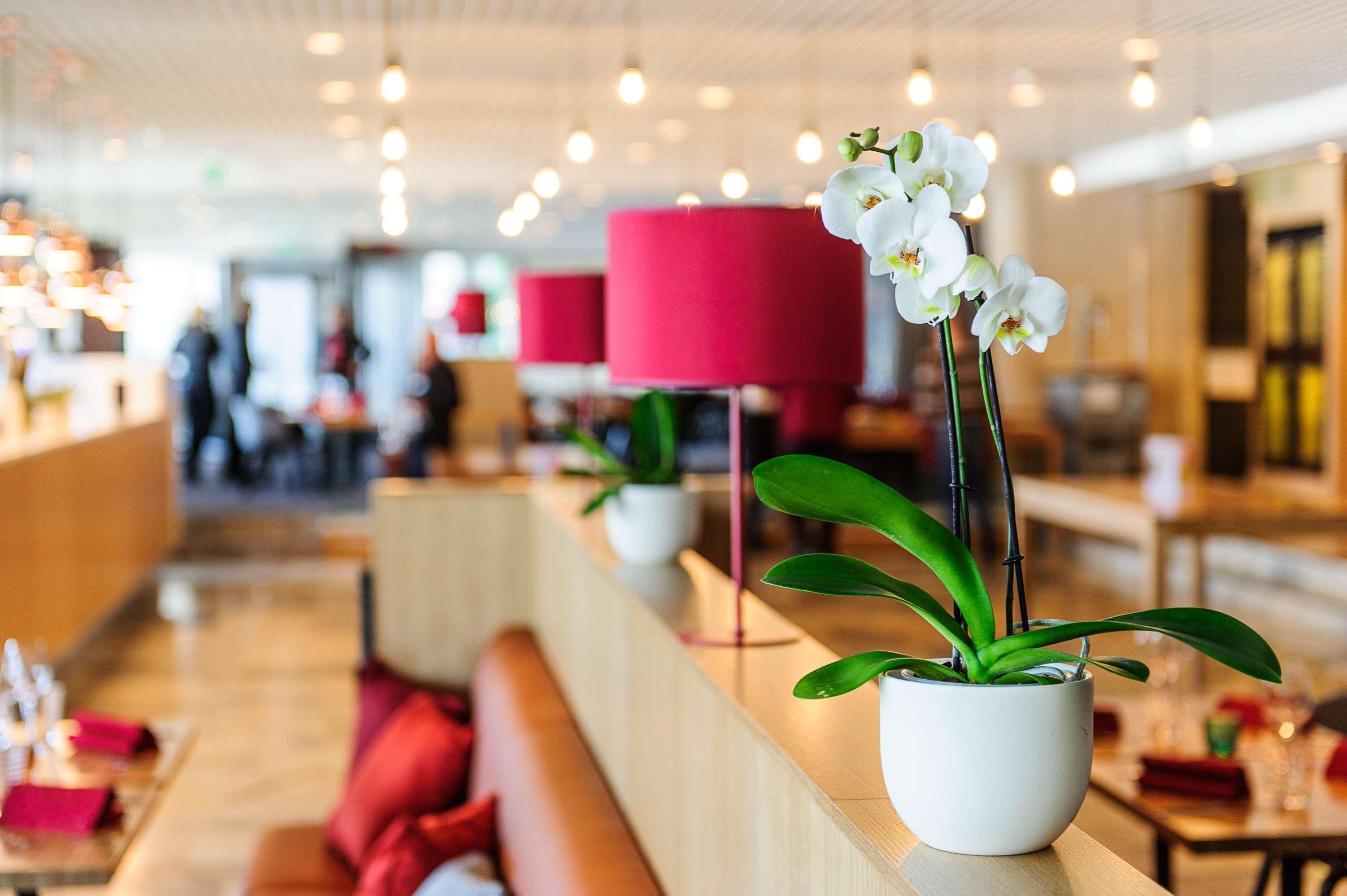 Radisson Blu Marina Palace Hotel, 4*